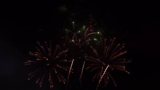 透明な背景に金色の花火の爆発 新年のお祝い花火 暗い背景に休日花火 — ストック動画