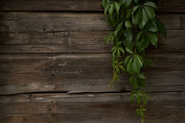 arkaplan için koyu tahta kullanımı