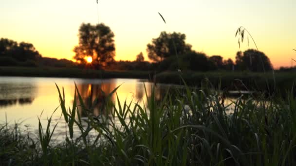 Прекрасний Схід Сонця Озері Шлях Сонця Горить Золотом — стокове відео