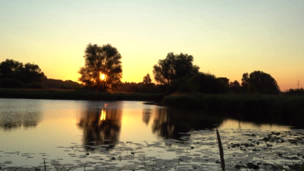 湖の美しい日の出 太陽の道は金で燃える — ストック動画