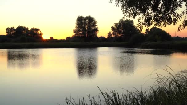 Восход Солнца Озере Путь Солнца Горит Золотом — стоковое видео