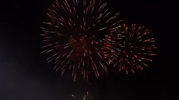 Abstraktes Goldenes Feuerwerk Explodiert Auf Transparentem Hintergrund Silvesterfeuerwerk Feiertagsfeuerwerk Auf — Stockvideo
