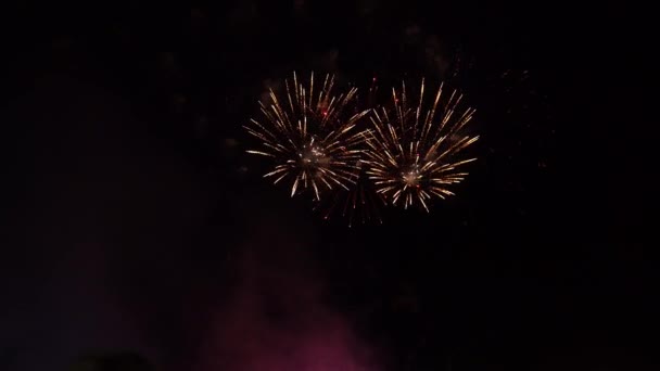 Fogos de artifício coloridos coloridos nas sombras do céu noturno — Vídeo de Stock