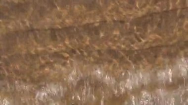 River Shore görüntüleri yakın 