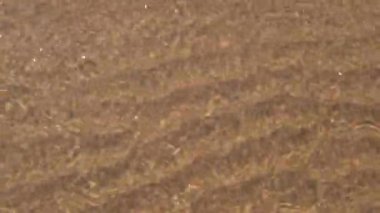 River Shore görüntüleri yakın 