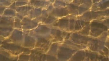 River Shore görüntüleri yakın 
