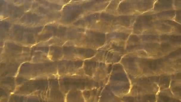 Gros plan de la rive de la rivière  