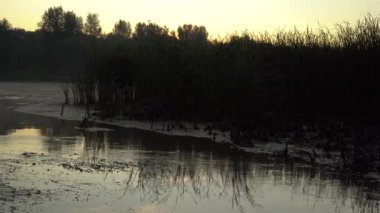 renkli doğa manzara, gölde harika yaz gündoğumu,