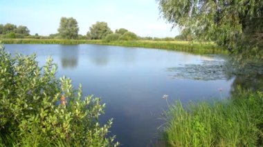 Gölde parlak güneşli bir yaz gününde Manzara,