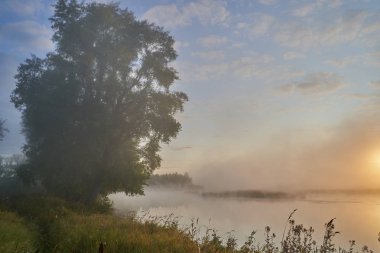 Güneşli puslu bir ışıkta gölün üzerinde sessiz bir şafak. Sonbahar zamanı.