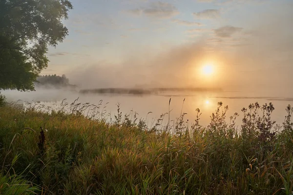 Güneşli puslu bir ışıkta gölün üzerinde sessiz bir şafak. Sonbahar zamanı.