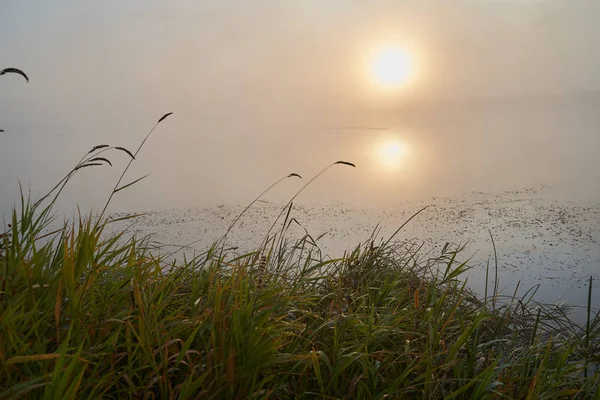 Um amanhecer tranquilo sobre o lago sob uma luz ensolarada nebulosa. Hora do Outono . — Fotografia de Stock