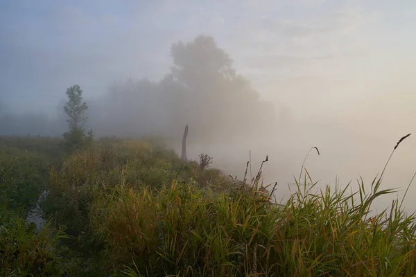 Un'alba tranquilla sul lago in una luce nebbiosa soleggiata. Ora di autunno . — Foto Stock