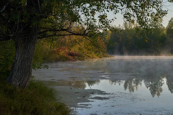 Eine ruhige Morgendämmerung über dem See in sonnigem Nebellicht. Herbstzeit. — Stockfoto