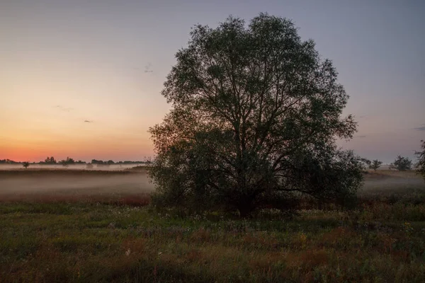 Un'alba tranquilla sul lago in una luce nebbiosa soleggiata. Ora di autunno . — Foto Stock