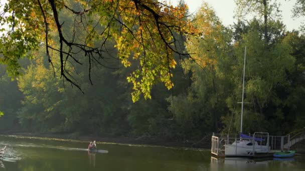 İki adam nehirde kanoyla seyahat eder, düşen yaprakların arka planına karşı. — Stok video