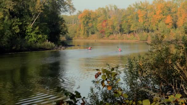 Les deux hommes voyagent en canot sur la rivière, sur fond de feuilles tombées — Video