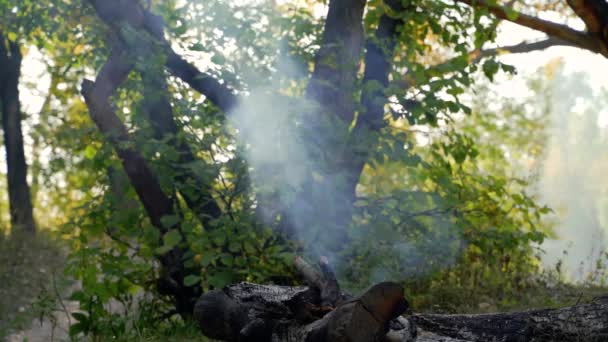 Lagerfeuer am Strand am Sommerabend. — Stockvideo