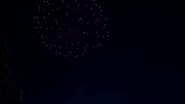 Káprázatos Tűzijáték Megvilágítja Éjszakai Égen — Stock videók