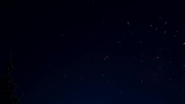 Ослепительные Фейерверки Освещают Ночное Небо — стоковое видео