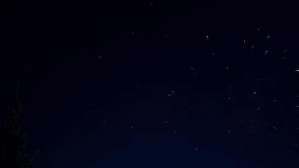 Fuochi Artificio Abbaglianti Illuminano Cielo Notturno — Video Stock