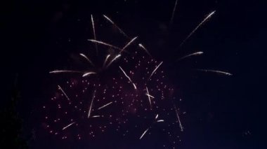 Göz kamaştırıcı havai fişek gece gökyüzü aydınlatmak. Mehtaplı gökyüzü parlak havai fişek üzerinde.