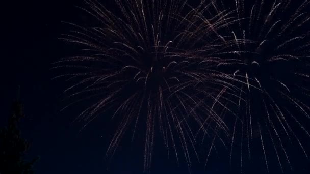 Ein Schillerndes Feuerwerk Erhellt Den Nachthimmel Mondbeleuchteten Himmel Helles Feuerwerk — Stockvideo