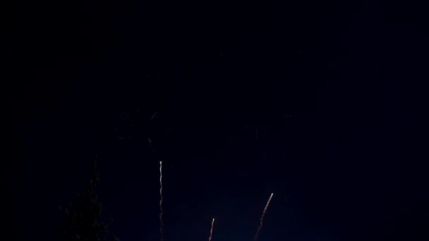 Noční Obloha Osvětlí Oslnivé Ohňostroje Měsíčním Světle Zářící Ohňostroj — Stock video