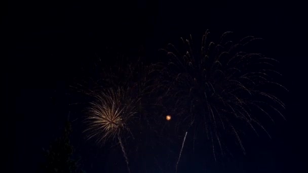 Dazzling Fireworks Illuminate Night Sky Moonlit Sky Bright Fireworks — Stock Video