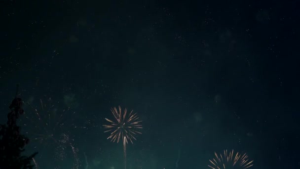 Ein Schillerndes Feuerwerk Erhellt Den Nachthimmel Mondbeleuchteten Himmel Helles Feuerwerk — Stockvideo