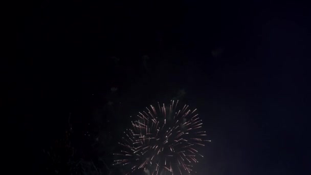 Fuochi Artificio Abbaglianti Illuminano Cielo Notturno Sul Cielo Illuminato Dalla — Video Stock