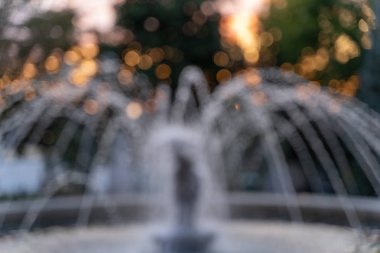 Bulanık polen yavaş yavaş arka planda ağaçların yeşil yaprakları yaz hava uçan. Ahşap büyüleyici günbatımı zaman.