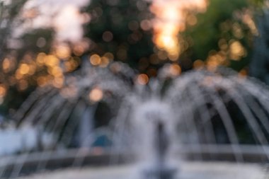 Bulanık polen yavaş yavaş arka planda ağaçların yeşil yaprakları yaz hava uçan. Ahşap büyüleyici günbatımı zaman.