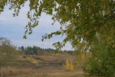 Güneş ışığında gölün üzerinde sakin bir sonbahar şafağı. Huşağacı Altın yapraklarla kaplıydı..