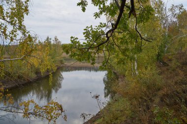 Güneş ışığında gölün üzerinde sakin bir sonbahar şafağı. Huşağacı Altın yapraklarla kaplıydı..