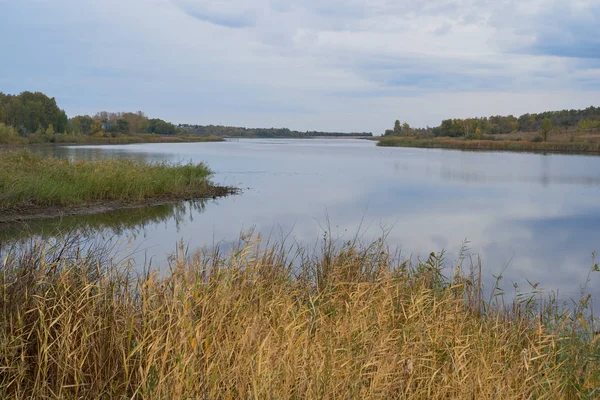 Egy csendes őszi hajnalban a tó felett napfény. A Birches Guest borította arany levelek. — Stock Fotó