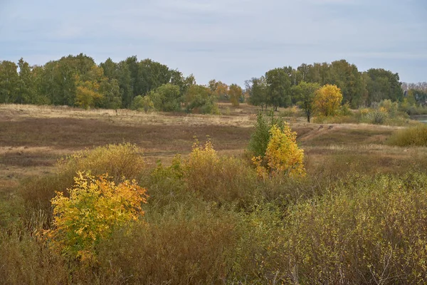Güneş ışığında gölün üzerinde sakin bir sonbahar şafağı. Huşağacı Altın yapraklarla kaplıydı..
