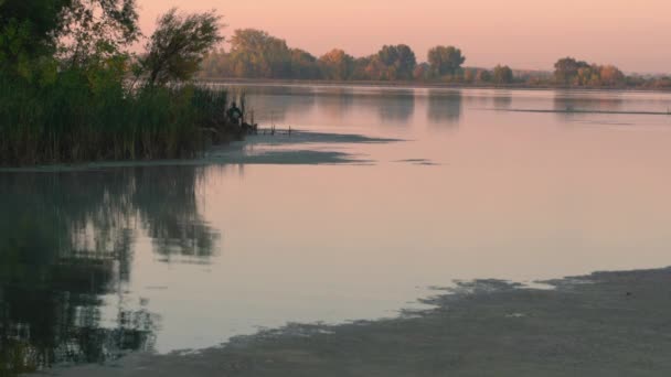 Sonnenaufgang Und Baumkronen Herbst Fallendes Laub Und Die Sonne Scheinen — Stockvideo