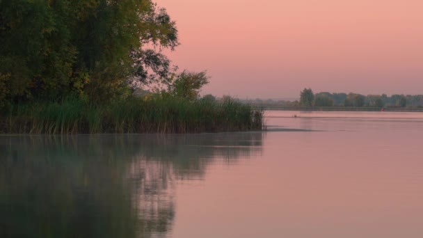 Strzelanie Świtu Treetops Jesienią Opadających Liści Słońce Świeci Przez Liści — Wideo stockowe