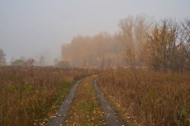 Gölün üzerinde gün ışığında sessiz bir sonbahar şafağı. Taze sis yerde sürünüyor..