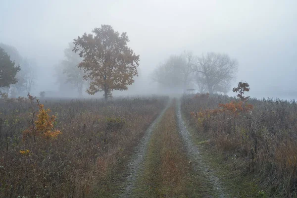 Une aube calme d'automne au-dessus du lac sous le soleil. Du brouillard frais se glisse sur le sol . — Photo