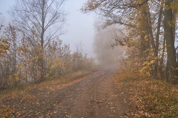 Cichy jesienny świt nad jeziorem w świetle słonecznym. Świeża mgła skrada się nad ziemią. — Zdjęcie stockowe