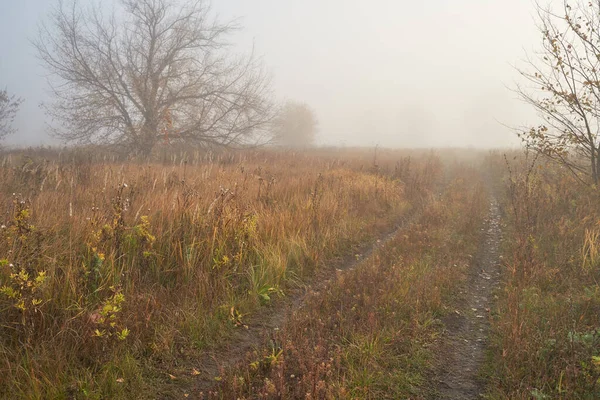 Eine ruhige Herbstdämmerung über dem See im Sonnenlicht. Frischer Nebel kriecht über den Boden. — Stockfoto