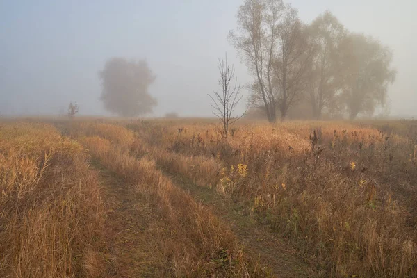 Una tranquilla alba autunnale sul lago alla luce del sole. La nebbia fresca striscia sul terreno . — Foto Stock