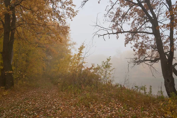 Cichy jesienny świt nad jeziorem w świetle słonecznym. Świeża mgła skrada się nad ziemią. — Zdjęcie stockowe