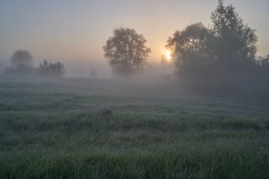 Baharın başında. Güneşin doğuşu sisli ve düşünceli bir sis bulutuyla gölün üzerinde. Sabahın erken saatlerinde sisle kaplı ormanın güzel manzarası. Güneş ışınları gibi. Mayıs.