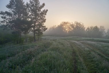 Baharın başında. Güneşin doğuşu sisli ve düşünceli bir sis bulutuyla gölün üzerinde. Sabahın erken saatlerinde sisle kaplı ormanın güzel manzarası. Güneş ışınları gibi. Mayıs.