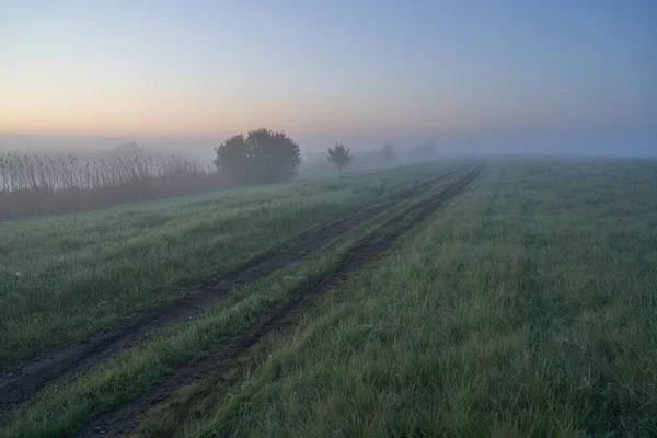 Inizio Primavera Mattina Alba Sul Lago Una Foschia Nebbiosa Pensierosa — Foto Stock