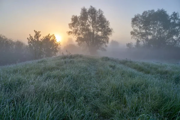 Early Spring Morning Dawn Lake Misty Thoughtful Haze Beautiful View — Stock Photo, Image