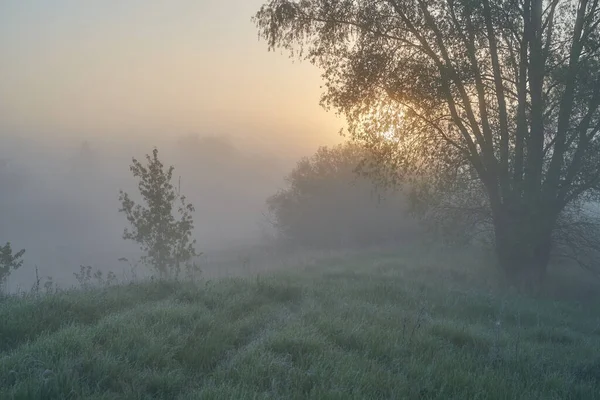 Inizio Primavera Mattina Alba Sul Lago Una Foschia Nebbiosa Pensierosa — Foto Stock